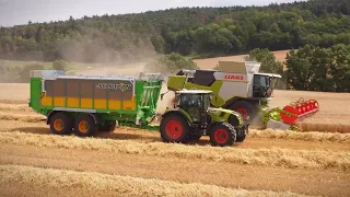 Claas Trion 730 im Weizen