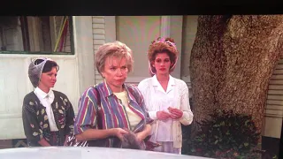 Steel Magnolias: Who the hell are you?