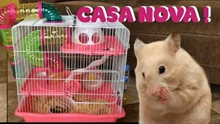 TOUR PELA MANSÃO  DA MINHA HAMSTER