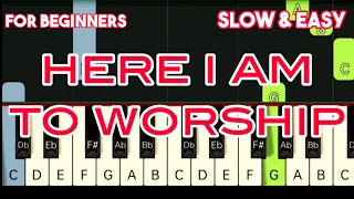 TIM HUGHES - HERE I AM TO WORSHIP | SLOW & EASY PIANO TUTORIAL