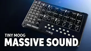 Moog Mavis Semi-modular Analog Synthesizer Kit Demo — Daniel Fisher