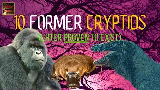 10 Cryptids Now PROVEN to be Real - (New & Updated List)