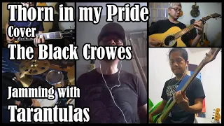 Thorn in my pride cover Black Crowes