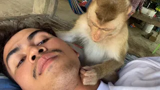 ASMR Monkey Grooming| Is The Long Time To Grooming Me Very Nice Zueii!!