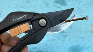 Secateurs like a razor in two minutes! It even cuts nails!