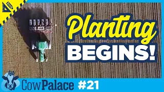 CORN Planting with the WHITE 1600 Begins + The Heifers Go to Pasture! | Building Our Cow Palace Ep21