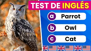 Test de Animales en INGLÉS 🐻🐥🐸| Nivel Fácil ✅| English Test