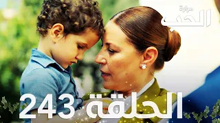 مسلسل مرارة الحب | الحلقة 243 مدبلجة | Bir Zamanlar Çukurova