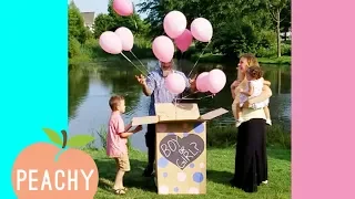 Best Reactions to Baby Gender Reveals | Funny Videos