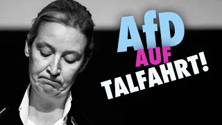 Chrupalla mal wieder bei Lanz. Stürzt die AfD ab?