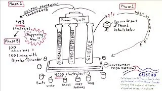 Assessing Bipolar Self-Management Strategies: the Delphic Method - One Minute Medical School