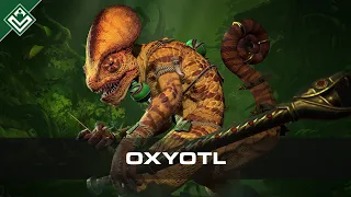 Oxyotl | Warhammer Fantasy