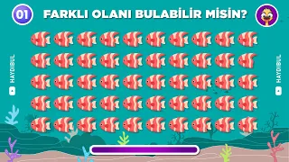 Farklı Olanı Bulabilir misin? 🐟 Deniz Canlıları Serisi 🦐 | 02