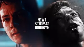 newt & thomas | goodbye. [tdc]