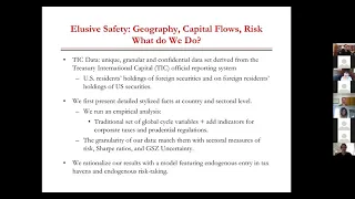 Laura Alfaro: Elusive Safety: The New Geography of Capital Flows and Risk