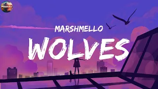 Wolves - Marshmello (Lyrics) || Martin Garrix, Avicii, Alan Walker, Mix