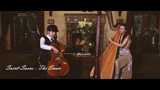 "Swan" Harp and Cello Wedding Music- Los Angeles, Wedding Harpist, Wedding Cellist, LA SB OC