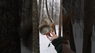 А ну-ка стоп меня гладить! 😁 Stop patting me!