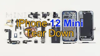 iPhone 12 Mini Teardown-Screen Damaged!!!  Part Comparison with iPhone 12.