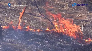 Пал травы запрещён