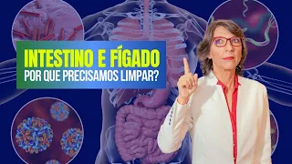 INTESTINO E FÍGADO - POR QUE PRECISAMOS LIMPAR?