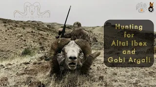 Hunting for Altai Ibex and Gobi Argali