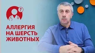 Домашние животные и аллергия у ребенка на шерсть. Доктор Комаровский | Вопрос доктору