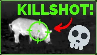 KILLSHOTS ONLY (Thermal Hog Hunting) | Pulsar Trail XP50 | Thermal Thursday Ep. 2