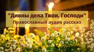 Православный рассказ «Дивны дела Твои, Господи»