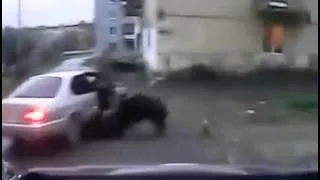 Giant Wild Boar Goes On A Rampage In Russia Town FunnyMasterCp