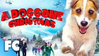 A Doggone Christmas | Full Movie | Family Dog Adventure | 'Just Jesse' the Jack Russell Terrier | FC