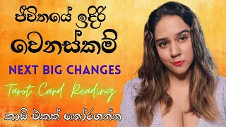 ඔබගේ ජීවිතයේ ඇති වන වෙනස්කම් Next Big Changes In Life Tarot Card Reading Sinhala