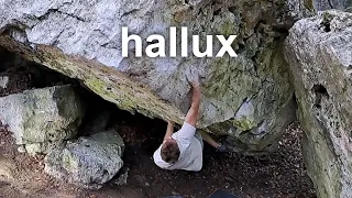 Hallux 7B, Dolina Wiercicy