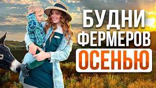 СЕЛЬСКИЕ БУДНИ ФЕРМЕРА В ДЕРЕВНЕ ОСЕНЬЮ