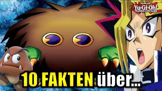 10 FAKTEN über KURIBOH