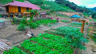 300 day process Sang Vy grows vegetables, raises chickens takes care of and harvests vegetables sell