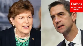 'Go Talk To Chuck Schumer': Tom Cotton Lashes Out At Jeanne Shaheen Over Tommy Tuberville Critique