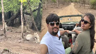 સાસણ માં સિંહ જોયા | Gir Forest Safari 2023 | Anand Riya Vlog 324