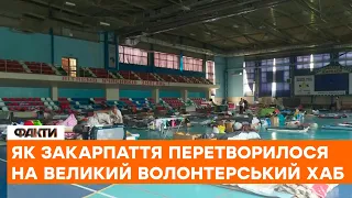 🔷 Закарпаття прийняло понад 400 ТИСЯЧ українців! Як область стала хабом для переселенців?