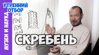 Новый скребень, паразит из стиральной машинки. Игорь Фадеев