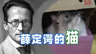 活著還是死了？盒子裏的貓，一個開啓平行宇宙的經典實驗！|量子物理