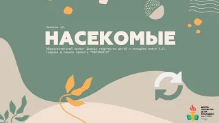 Проект "Экозабота". Занятие 13. Насекомые