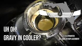 Fixing Oil In Your Coolant for $30 - T1N Sprinter (2002-2006)