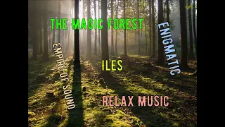 Потрясающая Музыка и Потрясающий Магический Лес!