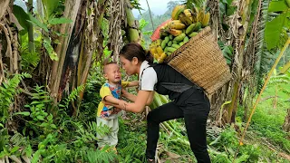 Harvesting bananas to sell at the market - bathing the child - the daily life of mother and child