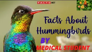 Hummingbird Facts And More About The Smallest Bird Species #BY #MEDICAL #STUDENT