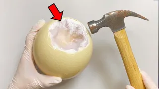 Strange Organ inside Ostrich Egg | Ostrich Egg Dissection