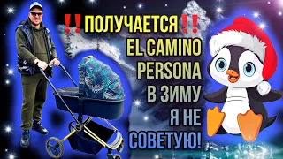 Ответы на вопросы Обзор El Camino Persona!!!