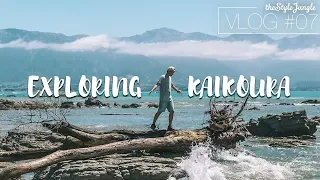 EXPLORING KAIKOURA PENINSULA (NEW ZEALAND ROAD TRIP 2018) /// THESTYLEJUNGLE VLOG #07