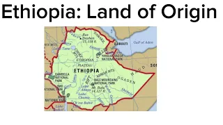 Ethiopia: Land of Origin